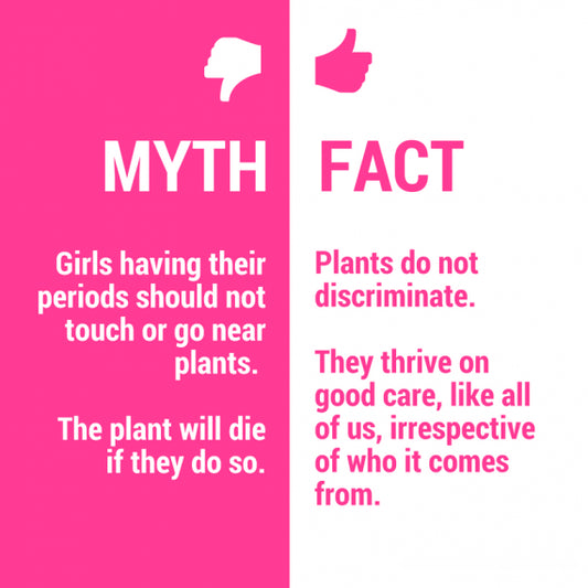 Myths and lack of information on menstrual health and hygiene management