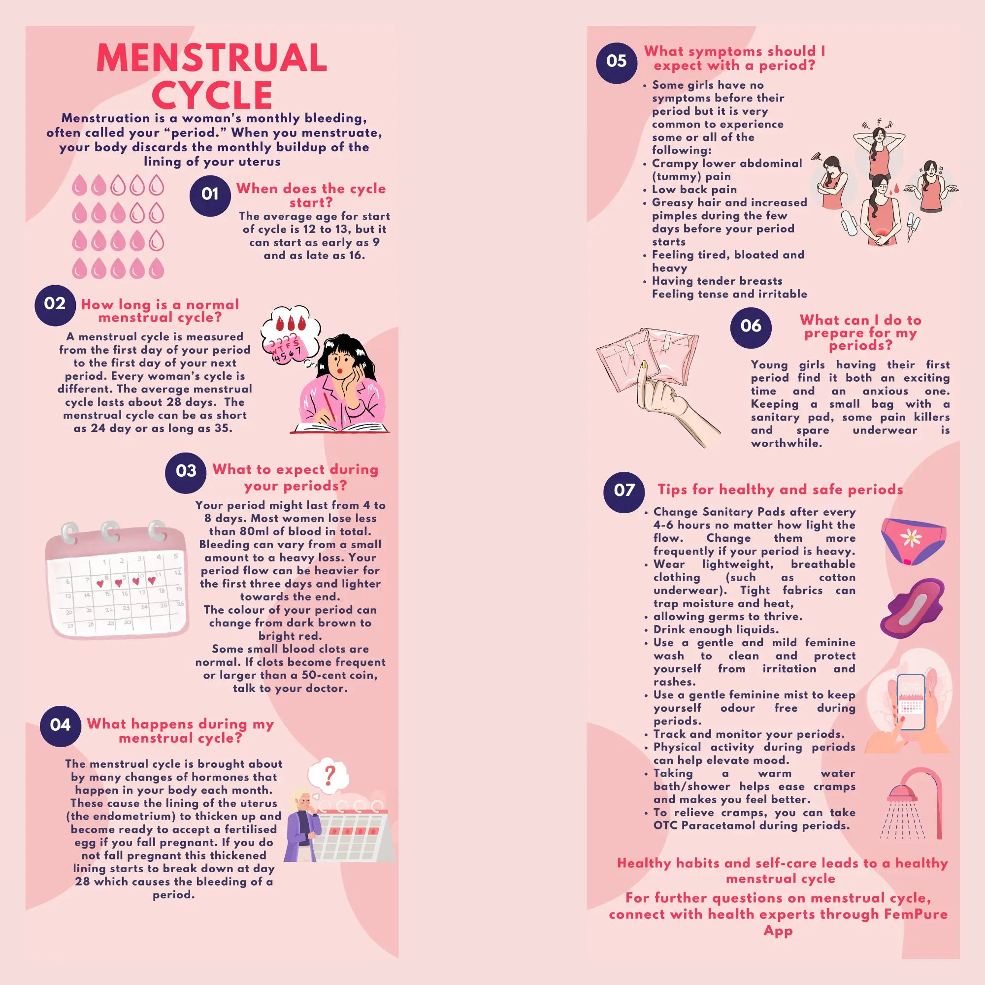 Menstrual Cycle – Fempure